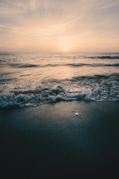 海浪撞在岸上白天
